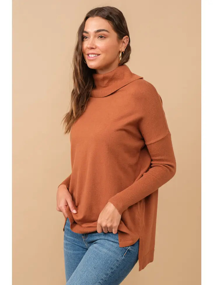 Soft Knit Turtleneck Pullover Sweater