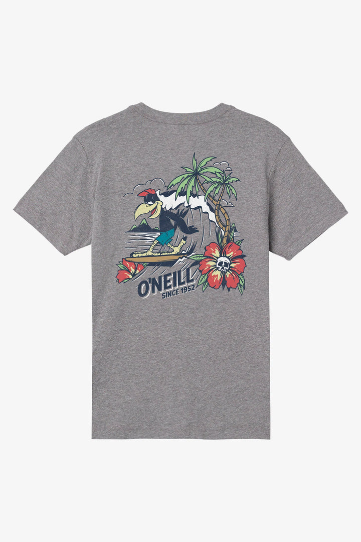 Oneill Boys Micawber Tee - Heather Grey