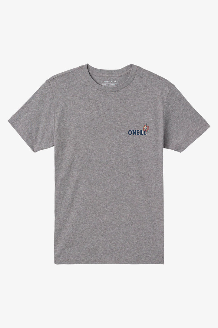 Oneill Boys Micawber Tee - Heather Grey 3