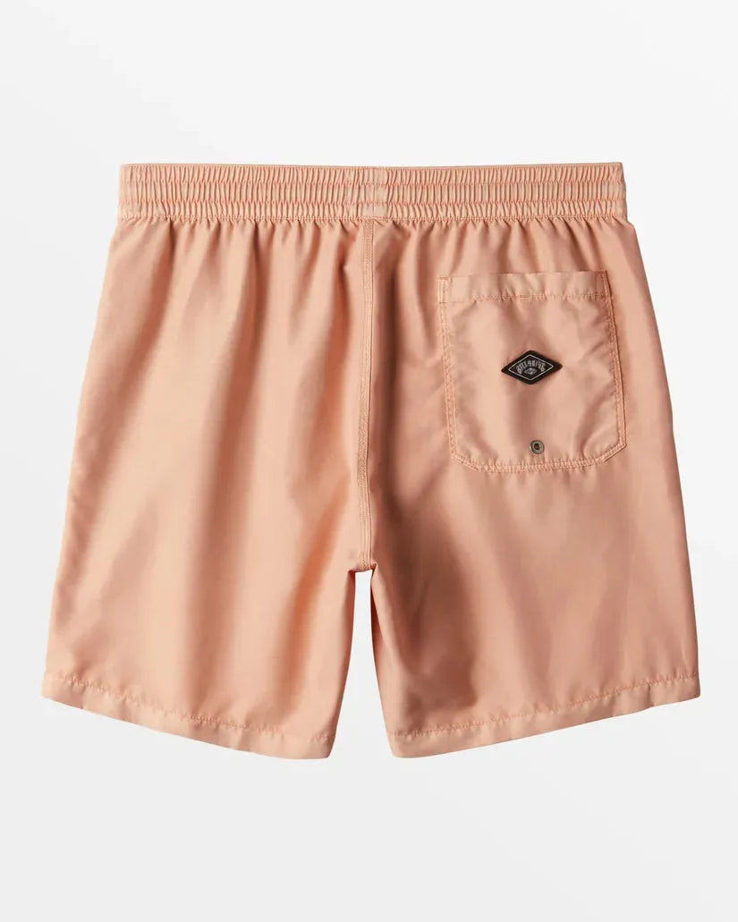 All Day Overdyed Layback Dusty Melon pic 2 | SoHa Surf Shop