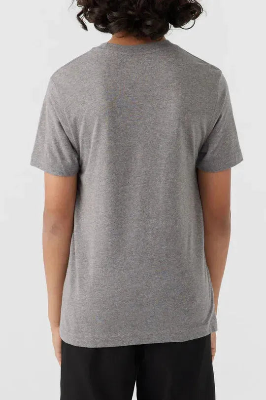 Oneill Boys Ziggy Tee Heather Grey pic 5 | SoHa Surf Shop