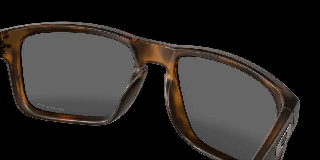 Holbrook Matte Brown Tortoise w/ Prizm Black