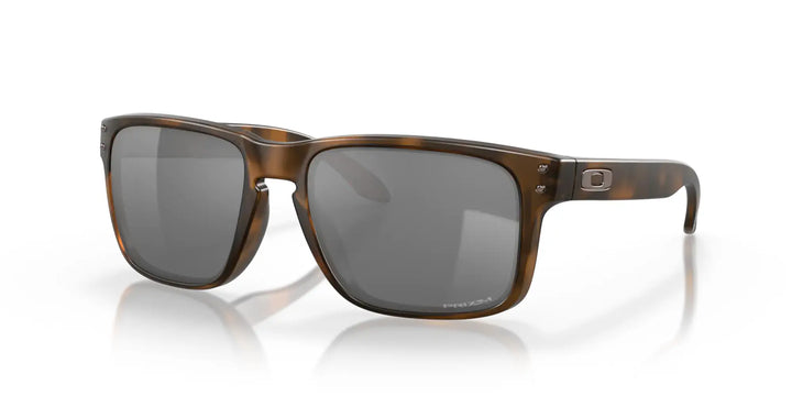 Holbrook Matte Brown Tortoise w/ Prizm Black