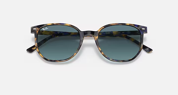 RayBan Elliot Sunglasses