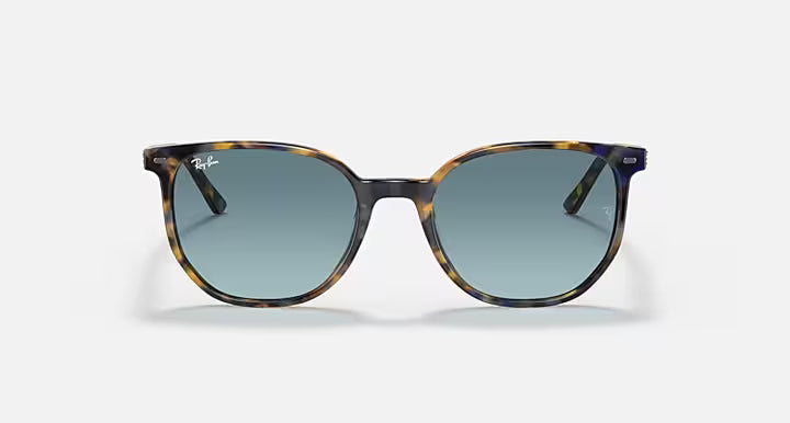 RayBan Elliot Sunglasses