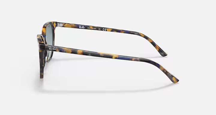RayBan Elliot Sunglasses