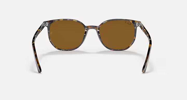 RayBan Elliot Sunglasses