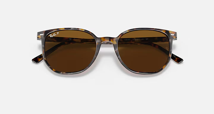 RayBan Elliot Sunglasses