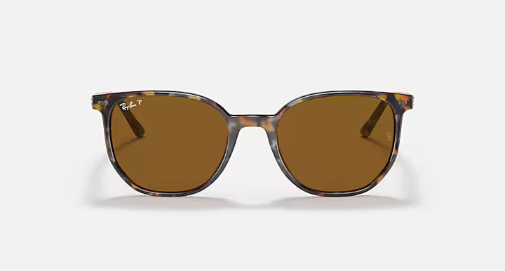 RayBan Elliot Sunglasses