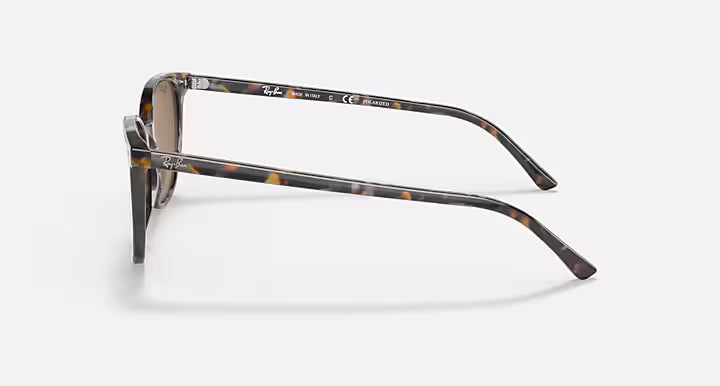 RayBan Elliot Sunglasses