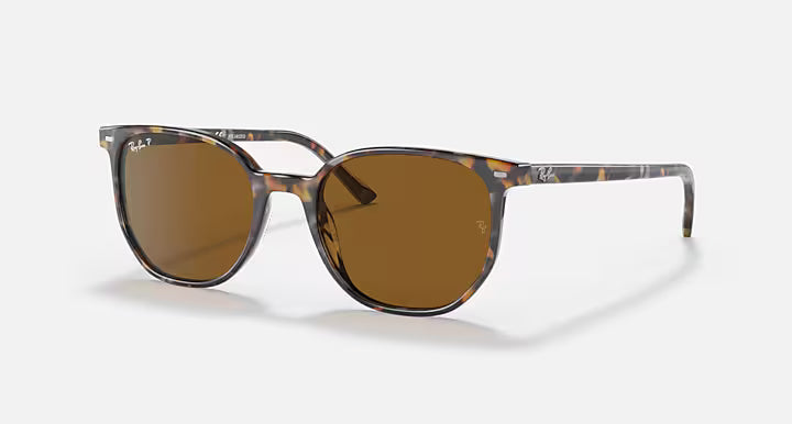 RayBan Elliot Sunglasses