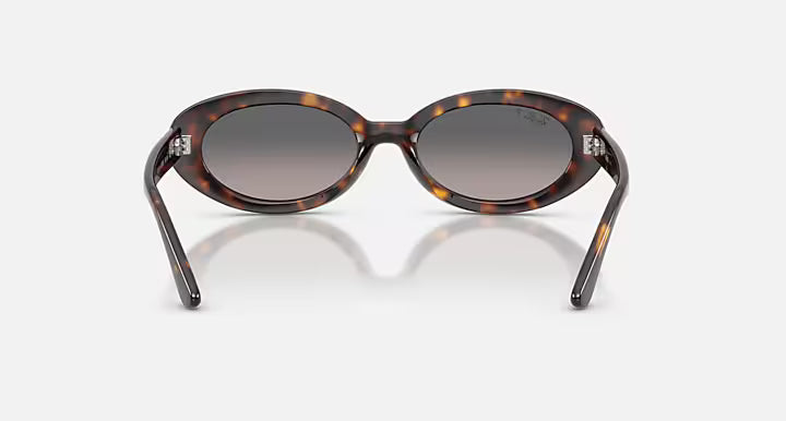 RayBan Rb2223 Sunglasses