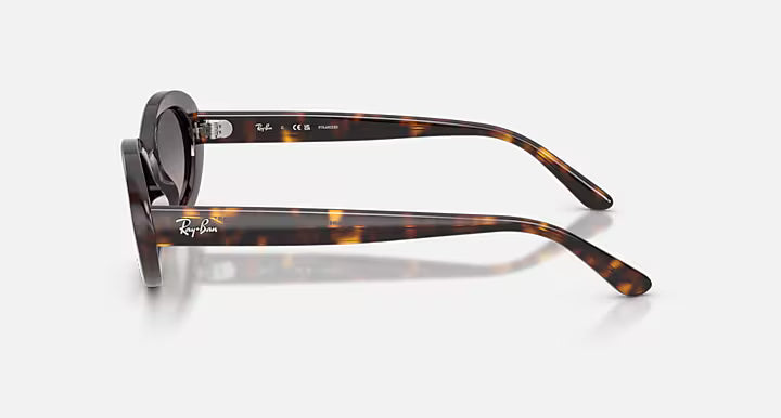 RayBan Rb2223 Sunglasses