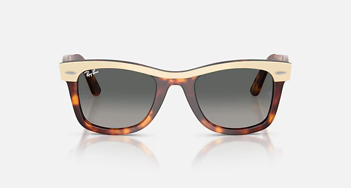 RayBan Wayfarer Street Neat Sunglasses