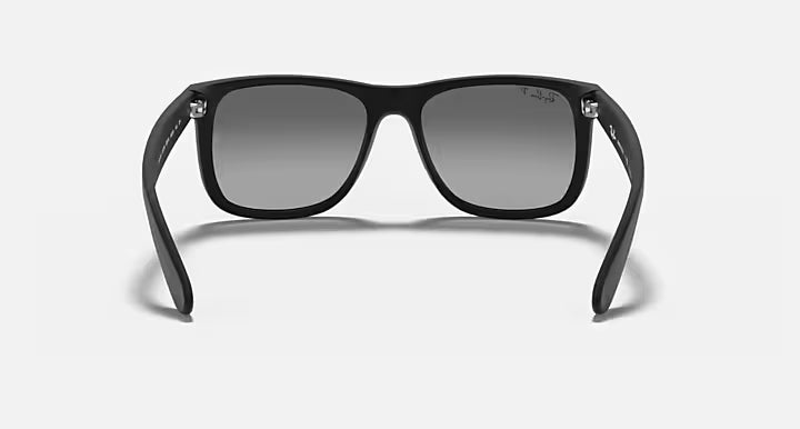 RayBan Justin Sunglasses