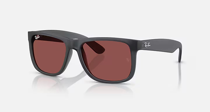 RayBan Justin Sunglasses