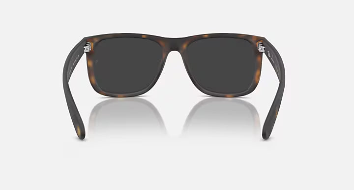 RayBan Justin Sunglasses