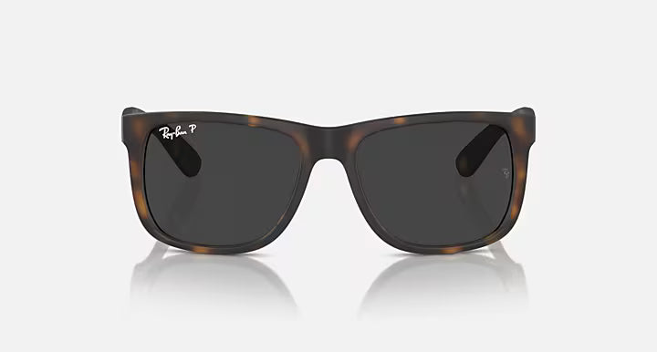RayBan Justin Sunglasses