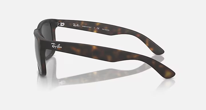 RayBan Justin Sunglasses