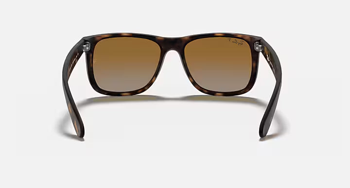 RayBan Justin Sunglasses