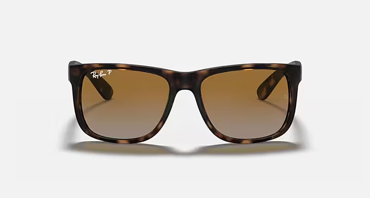 RayBan Justin Sunglasses