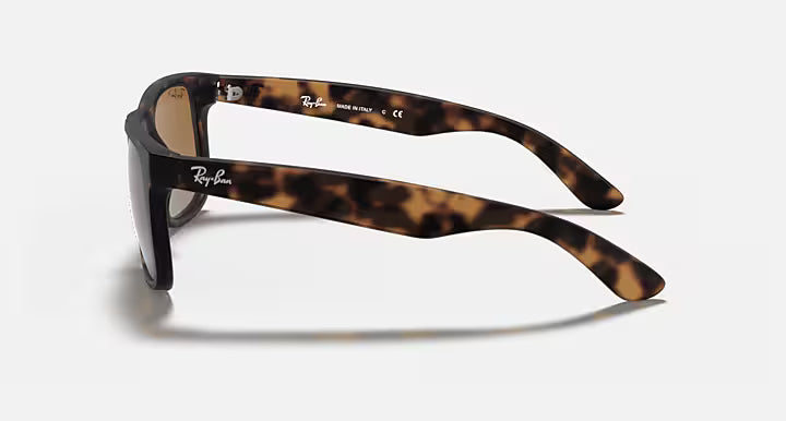 RayBan Justin Sunglasses