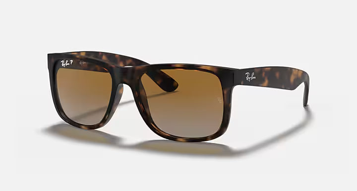 RayBan Justin Sunglasses