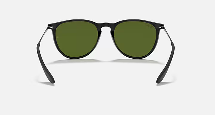 RayBan Erika Sunglasses
