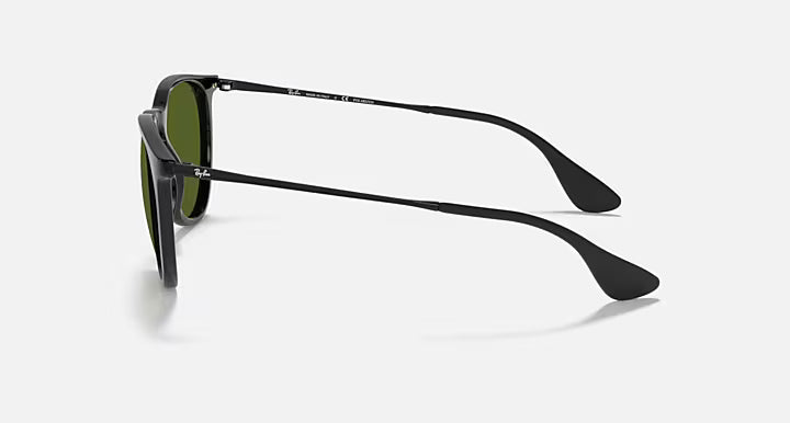 RayBan Erika Sunglasses