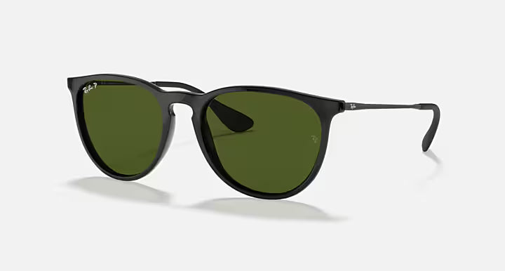 RayBan Erika Sunglasses