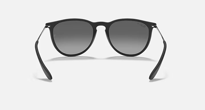 RayBan Erika Sunglasses