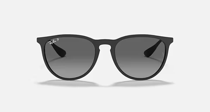 RayBan Erika Sunglasses