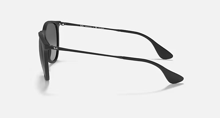 RayBan Erika Sunglasses