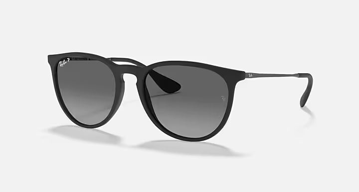 RayBan Erika Sunglasses
