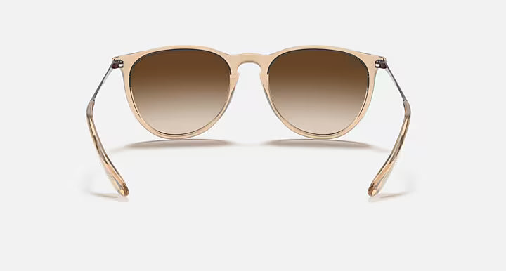 RayBan Erika Sunglasses
