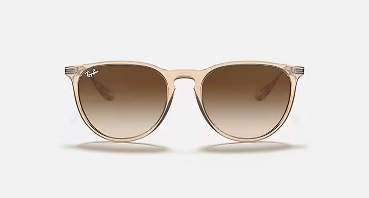 RayBan Erika Sunglasses