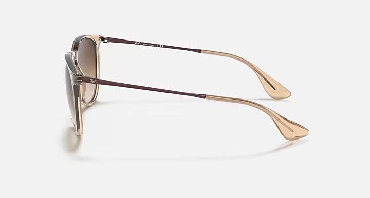 RayBan Erika Sunglasses