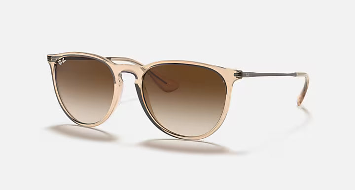 RayBan Erika Sunglasses