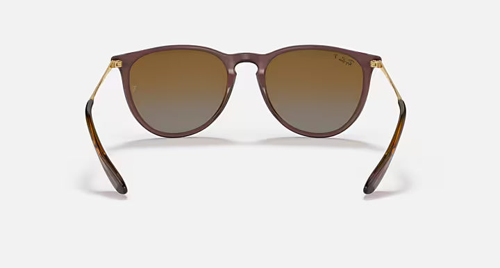 RayBan Erika Sunglasses