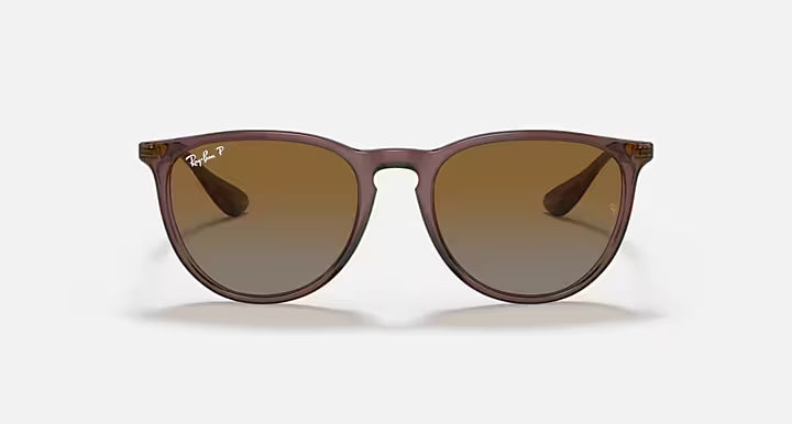 RayBan Erika Sunglasses