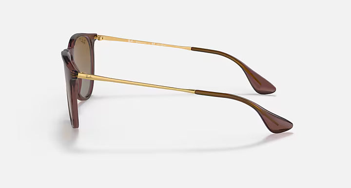 RayBan Erika Sunglasses