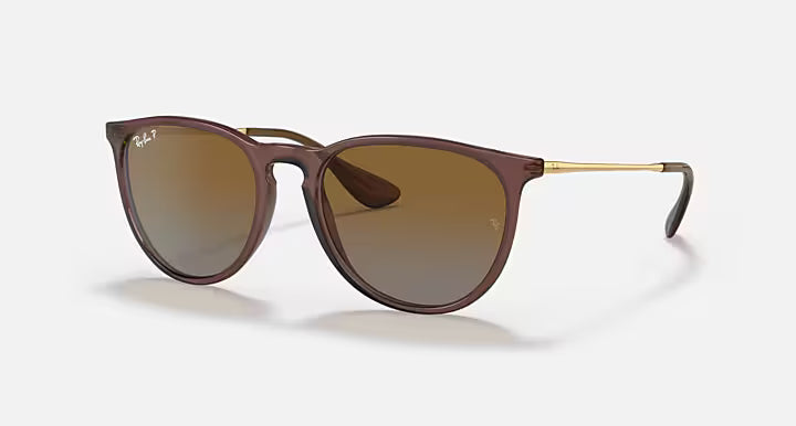 RayBan Erika Sunglasses