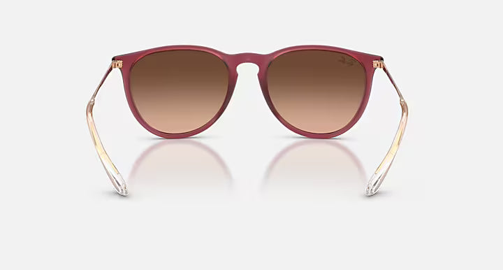 RayBan Erika Sunglasses