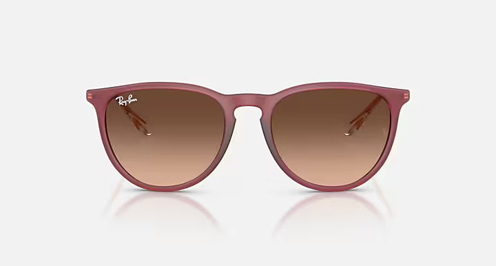 RayBan Erika Sunglasses