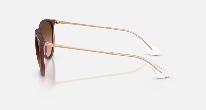RayBan Erika Sunglasses