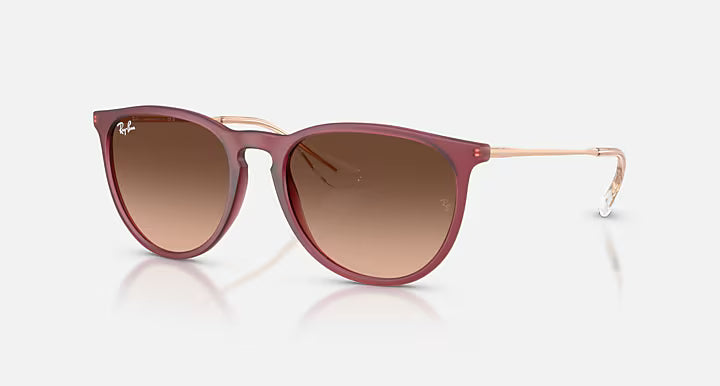 RayBan Erika Sunglasses