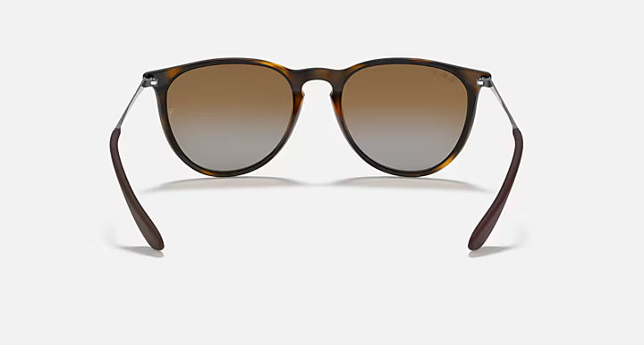 RayBan Erika Sunglasses