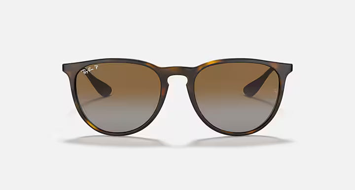 RayBan Erika Sunglasses