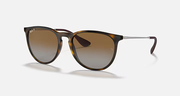 RayBan Erika Sunglasses