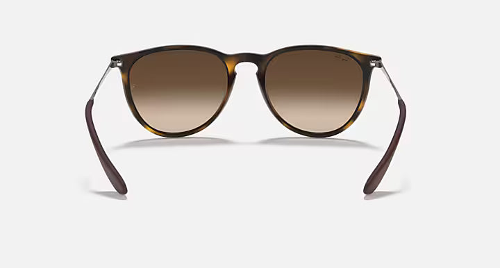 RayBan Erika Sunglasses